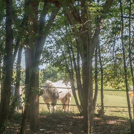 Bois Des Nauzes Villa Seyches Dış mekan fotoğraf
